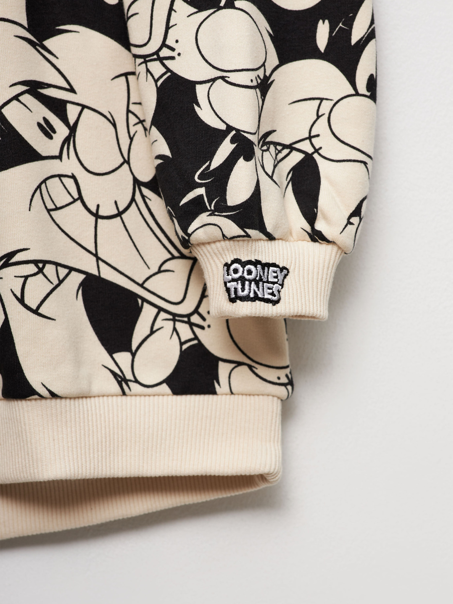 Hoodie h&m looney tunes online