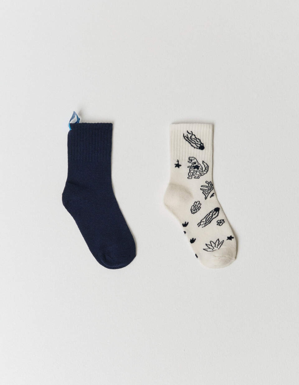 Набор носков для мальчиков из коллекции ART PEOPLE с Дашей Север